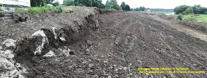 Schwinde Elbdeich170919